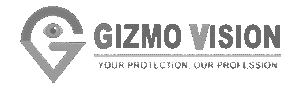 Gizmo Vision