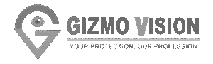 Gizmo Vision
