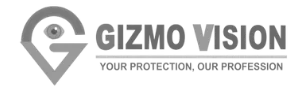 Gizmo Vision