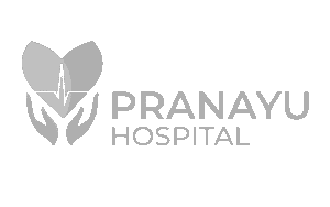 Pranayu