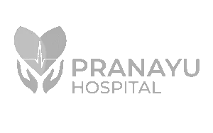 Pranayu