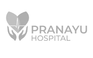 Pranayu